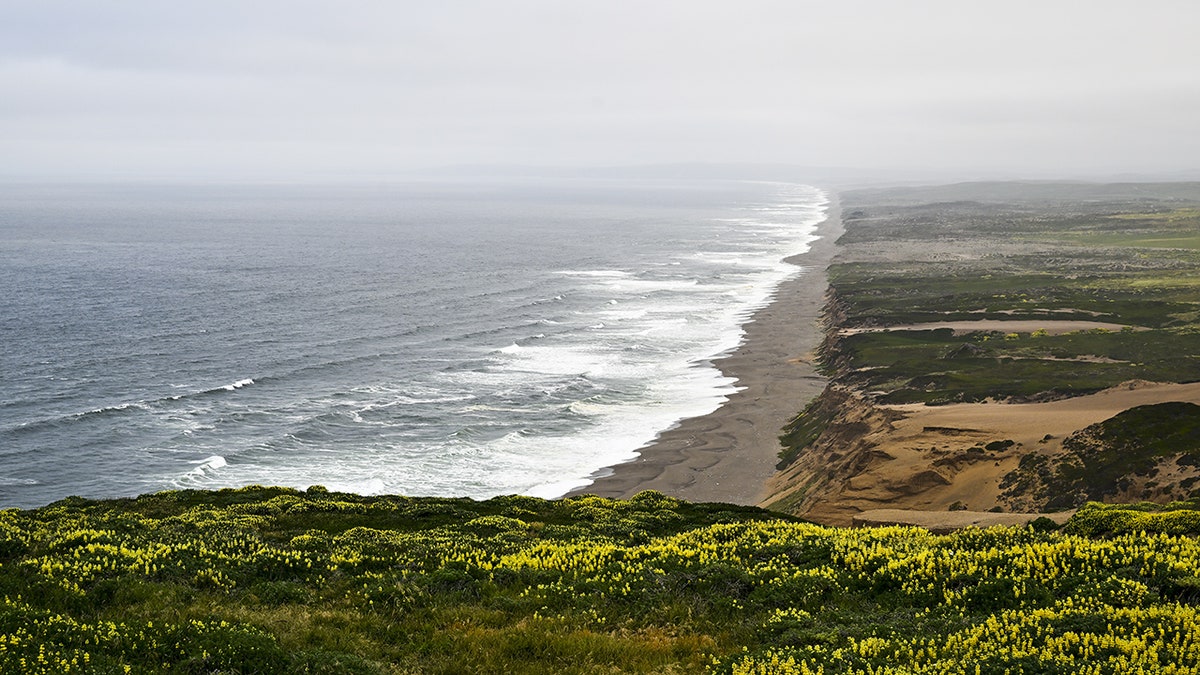 Point Reyes National Seashore California