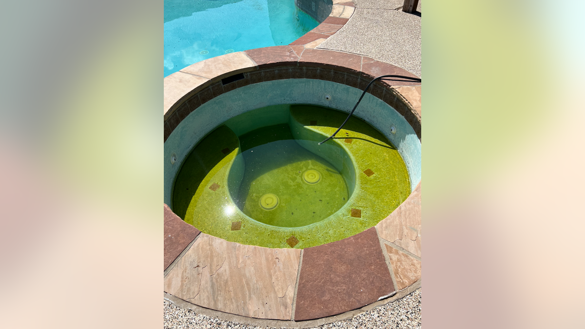 Empty hot tub in Texas backyard