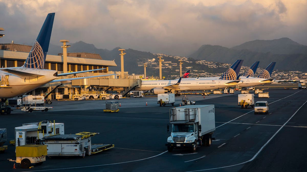 planes and vehicles seen at airport