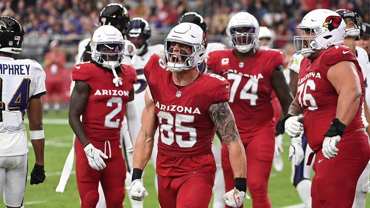 Cardinals celebrate touchdown