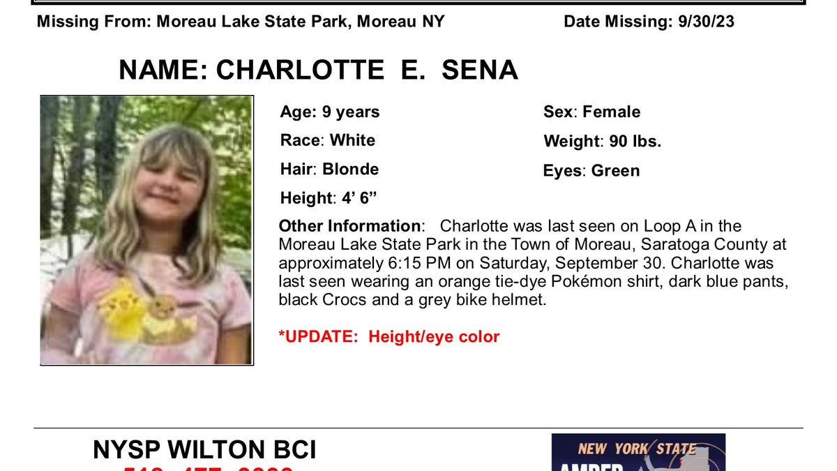 New York State Police Amber Alert Poster