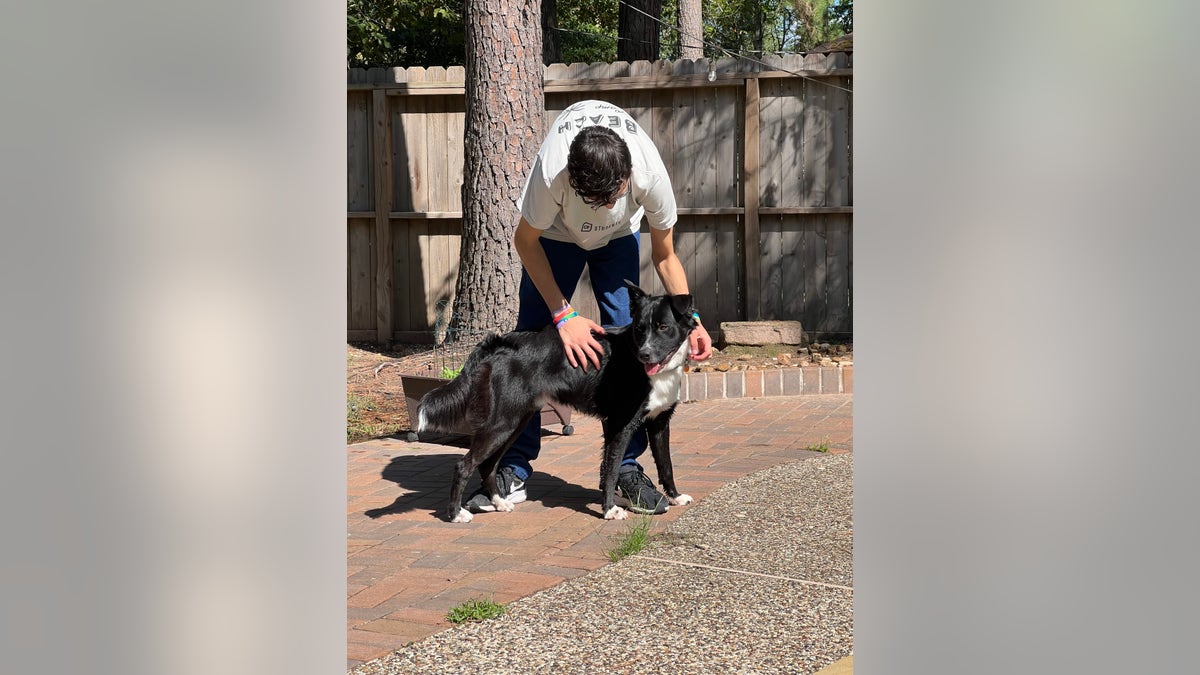 Gabriel Silva playing with dog Axel