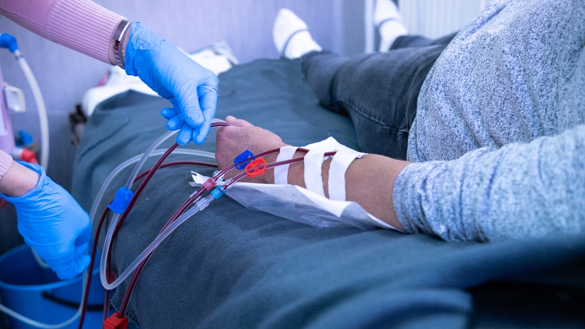 A nurse with blue protective gloves is preparing a patient for hemodialysis 