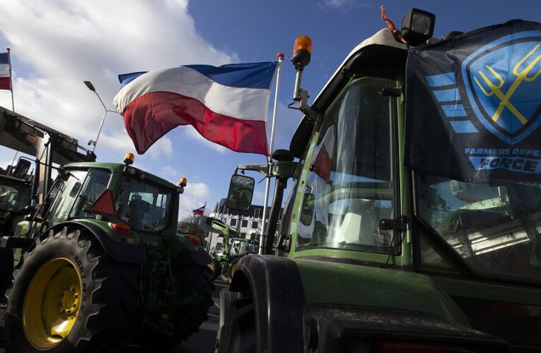 Nitrogen reduction target proving controversial for farmers at Dutch election