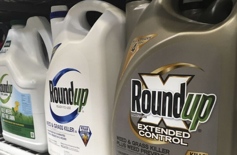 Brussels allows use of glyphosate across EU for 10 more years after member states fail to reach deal