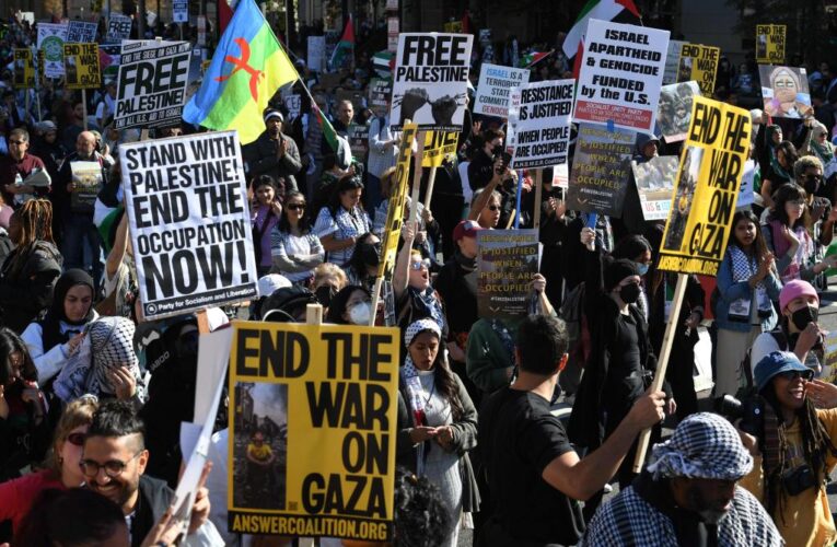 Pro-Palestinian marchers flood DC, say ‘racist state’ Israel ‘does not have the right to exist’: ‘Long live the Intifada’