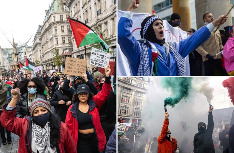 11 pro-Palestinian protesters arrested in London