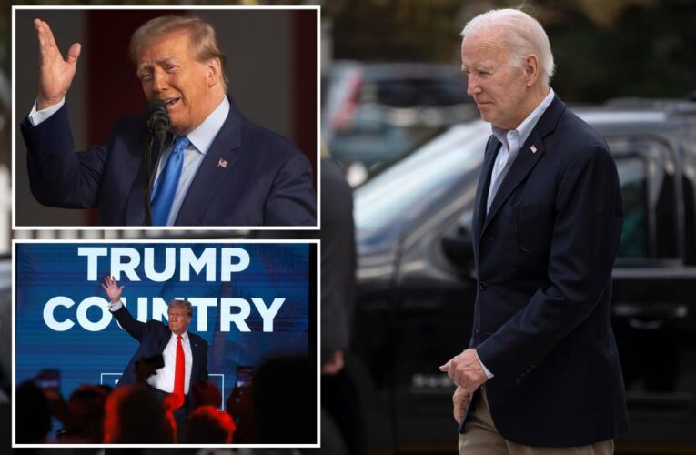 Trump notches considerable lead over Biden in five swing states: poll