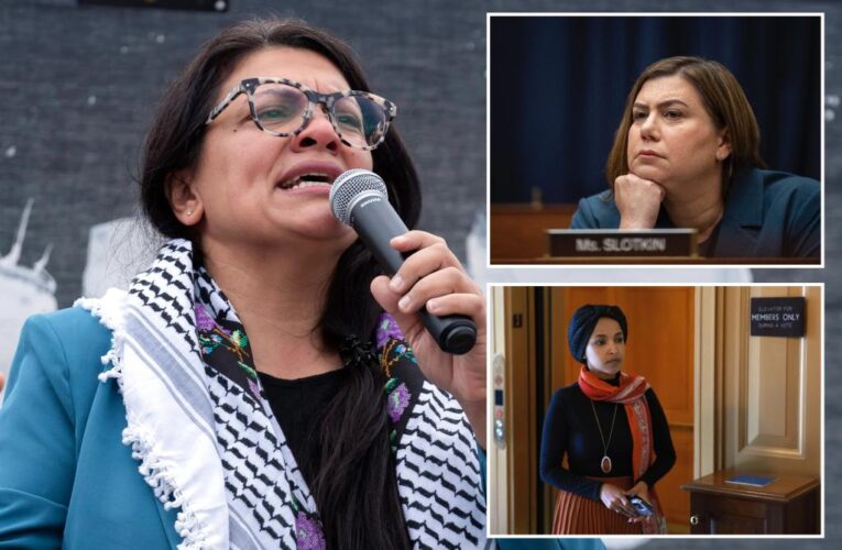 Democrats scold lefty colleague Rashida Tlaib over Israel — as primary challengers line up against ‘The Squad’