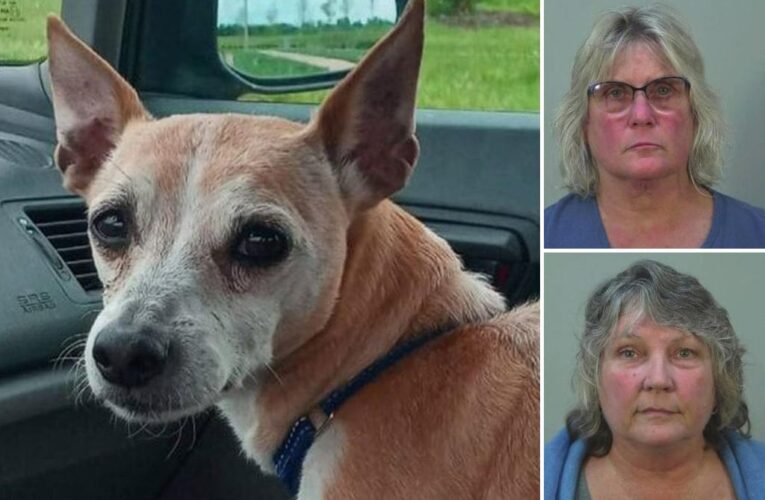 Wisconsin landlord sisters admit to stealing tenants dog, facing no jail time