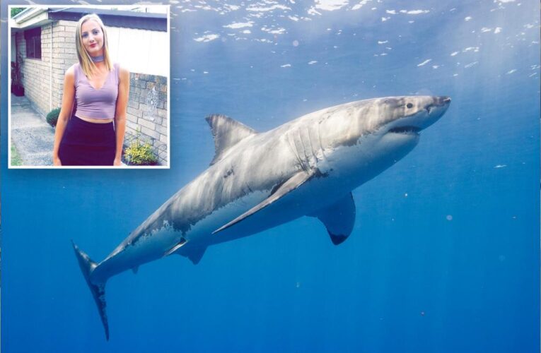 Australian diver Bridgette O’Shannessy undergoes several surgeries after shark bit her in the face