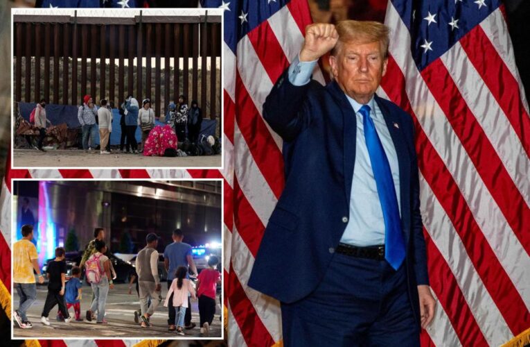 Donald Trump plotting massive immigration crackdown: report