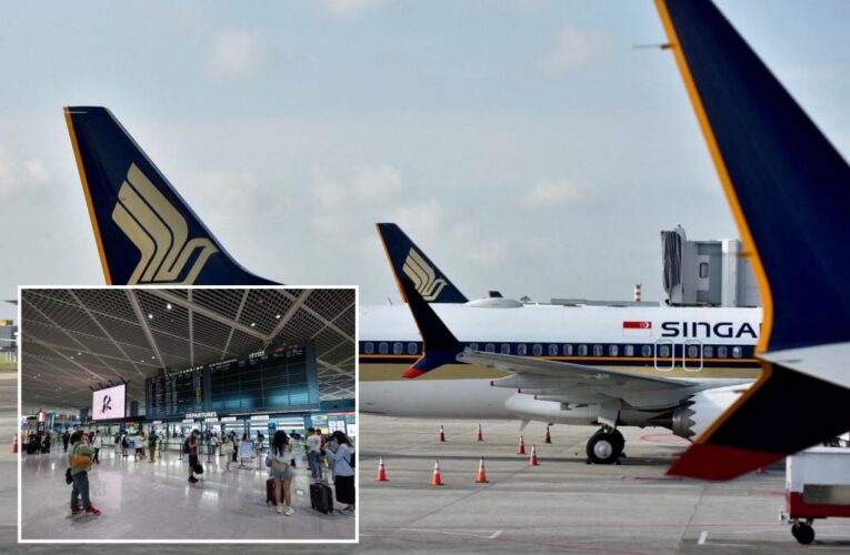 Singapore Airlines flight attendant bites security guard’s arm over shoplifting spree: police