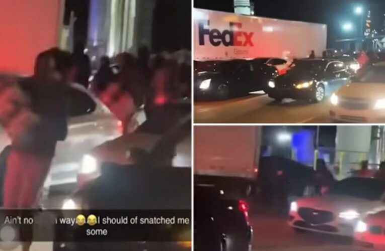 Memphis cars block FedEx truck on road, pillage packages