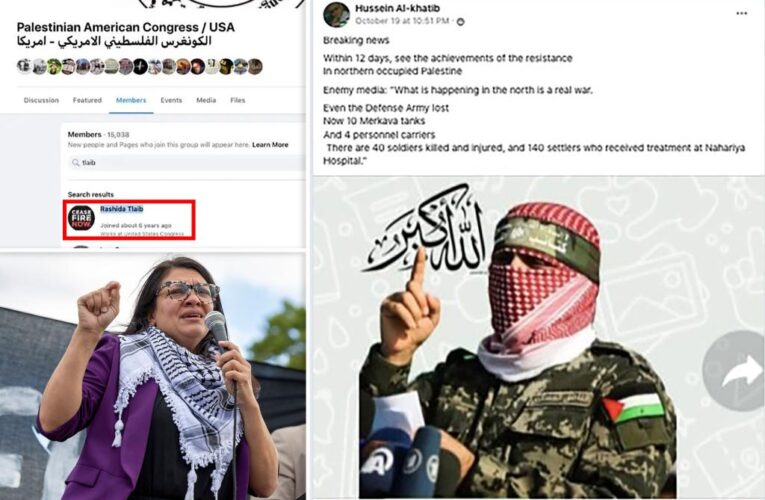 Rep. Tlaib part of hidden Facebook group that glorifies Hamas: report
