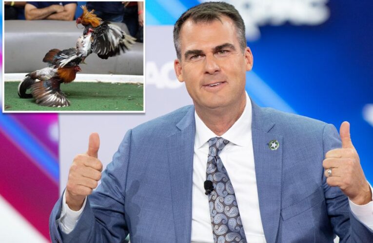Oklahoma governor Kevin Stitt slammed for openly supporting cockfighting