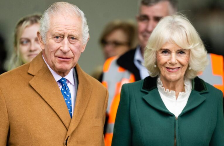 King Charles resents Prince Harry for slamming Queen Camilla