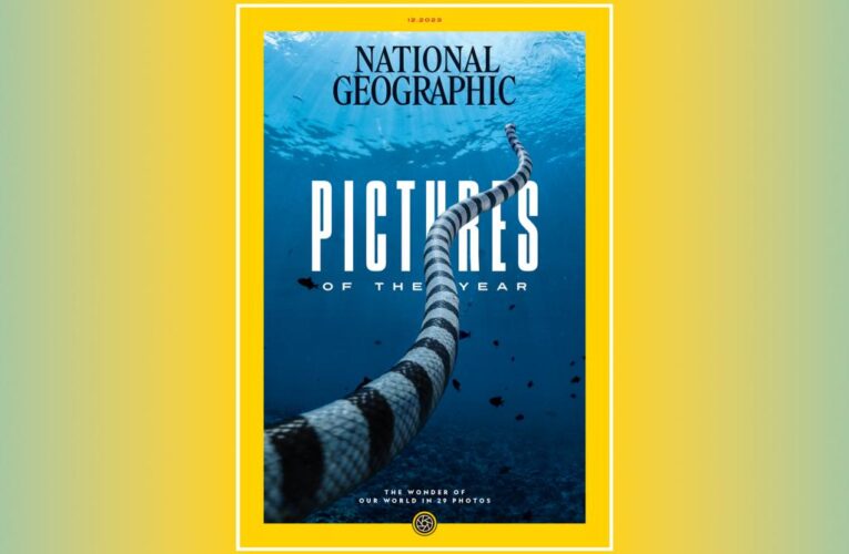 National Geographic reveals 2023’s most stunning pictures of the year
