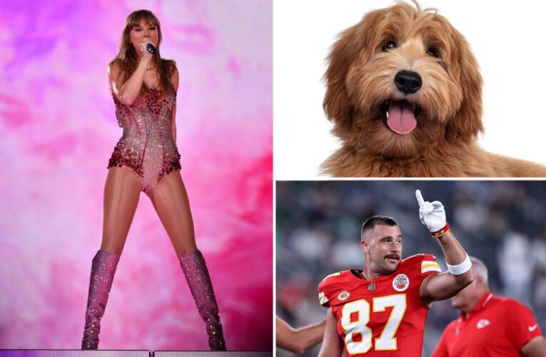 ‘Kelce’ becomes top trending dog name in 2023 amid NFL star’s Taylor Swift romance