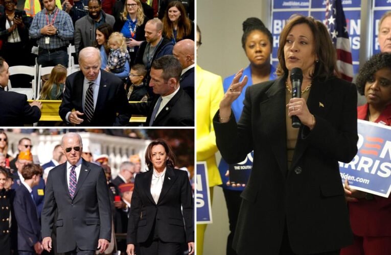 Kamala Harris says she and Biden will need to ‘earn our reelect’ with black voters in 2024