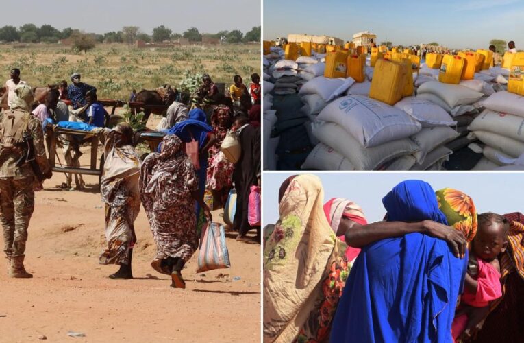 UN warns food aid for 1.4M refugees in Chad may end over limited funding