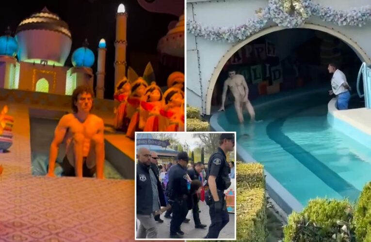 Streaker is arrested after parading around Disneyland’s ‘It’s a Small World’ ride