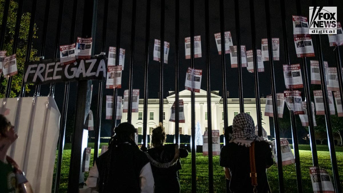 vandalism by pro-Palestinian protestors in DC