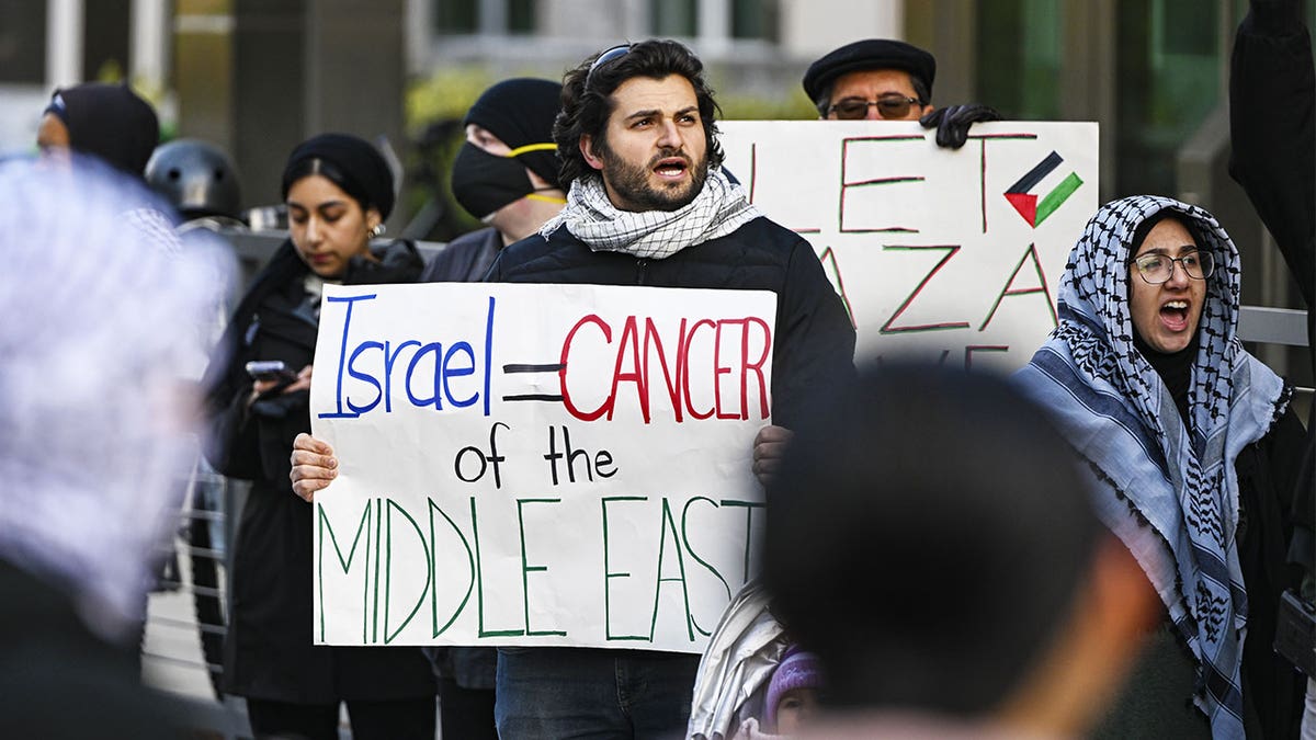 Anti-Israel protest in D.C.