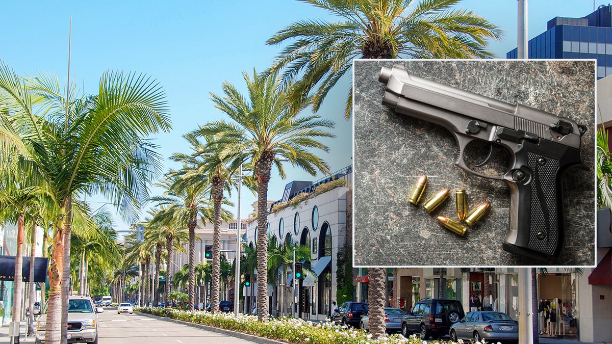 Los Angeles, California, USA - March 2009: Palm trees and flower beds on Rodeo Drive in Beverly Hills in Hollywood