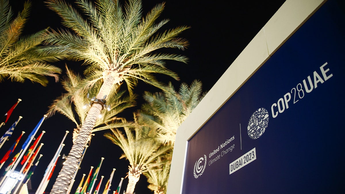 COP28 logo on the opening day of the United Nations Climate Change Conference COP28 in Dubai, United Arab Emirates on November 30, 2023. (Photo by Jakub Porzycki/NurPhoto via Getty Images)