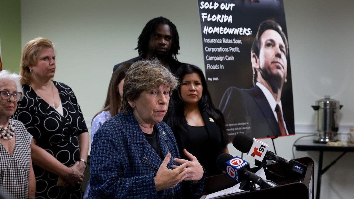 Randi Weingarten, President American Federation of Teachers