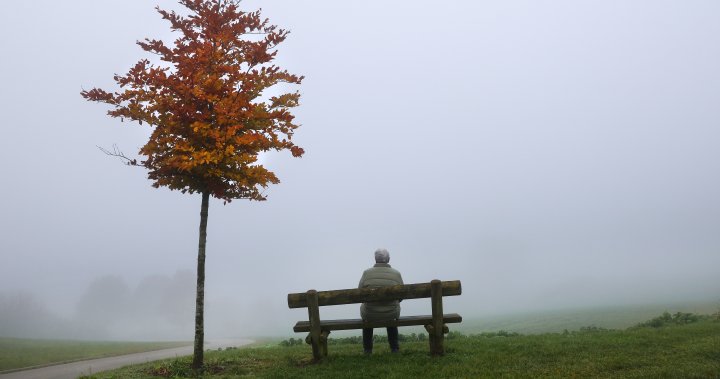 Loneliness is now a ‘global public health concern,’ says WHO