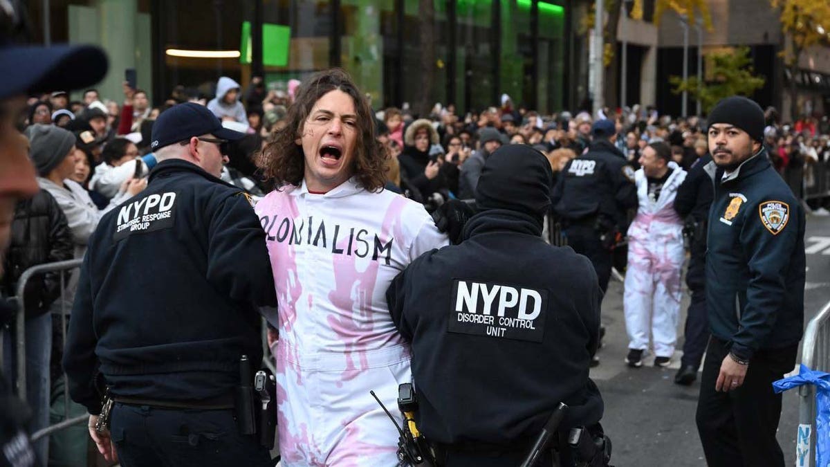 Pro-Palestinian protester arrested during Macy's Thanksgiving Day Parade in New York