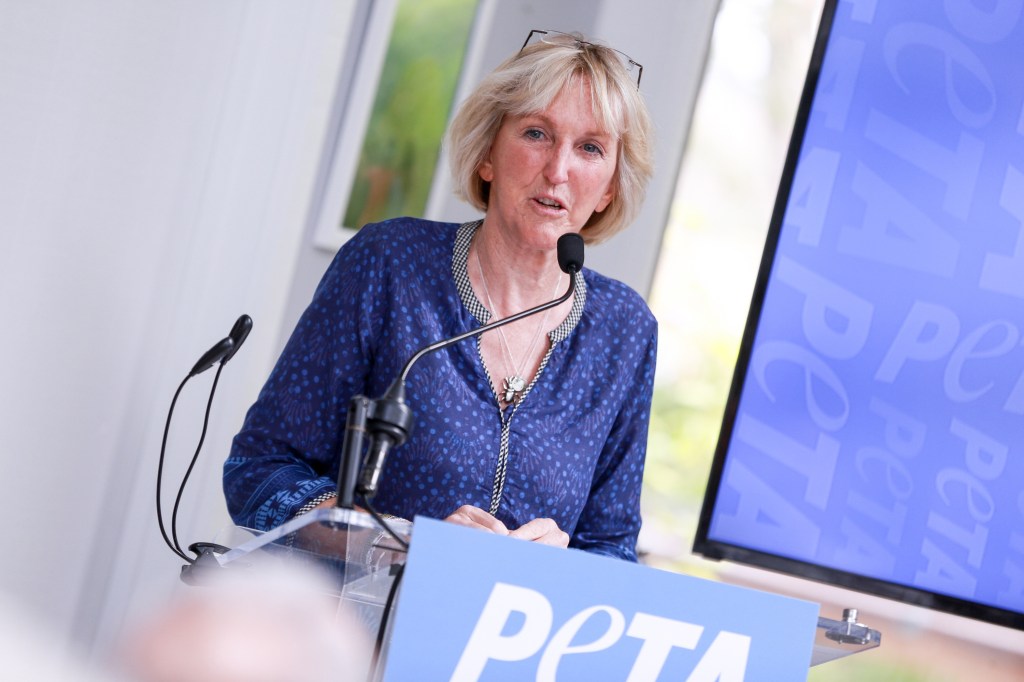 MALIBU, CA - JUNE 11:  PETA President Ingrid Newkirk speaks during the PETA Fundraising Event at Private Residence on June 11, 2017 in Malibu, California.  (Photo by Rich Fury/Getty Images)