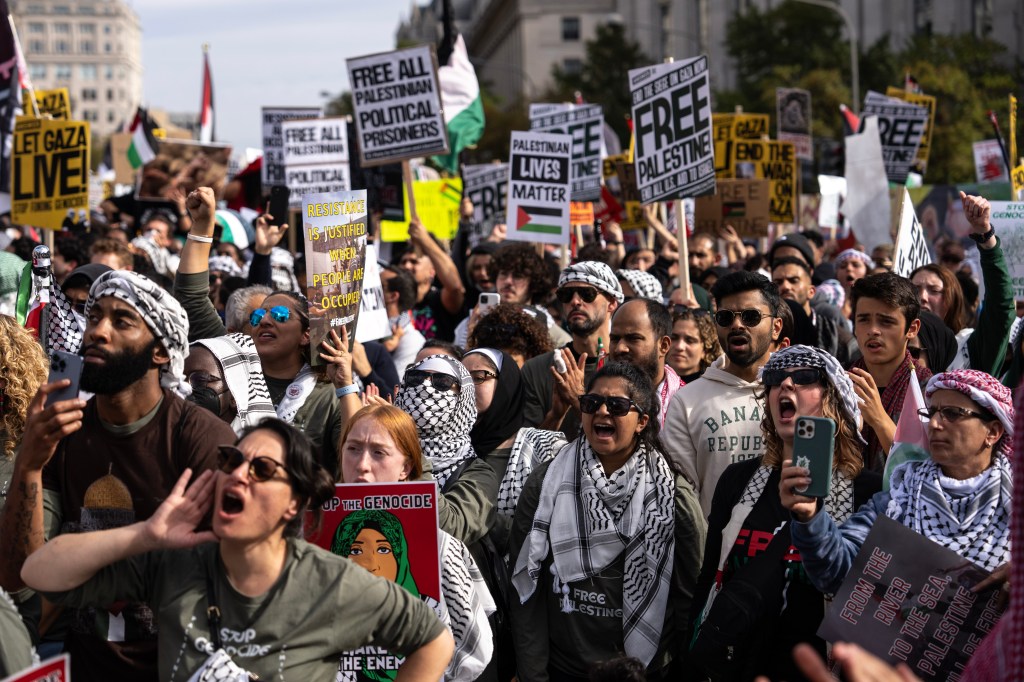 Free Palestine Rally in Washington DC