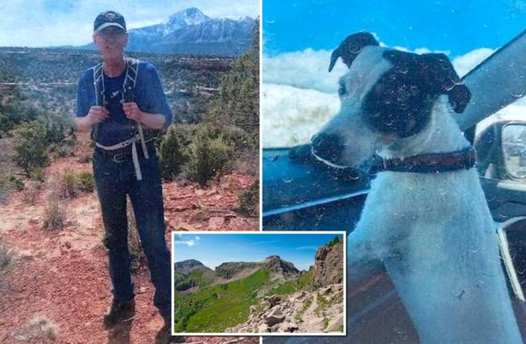 Colorado hiker’s dog lost half her body weight staying with body