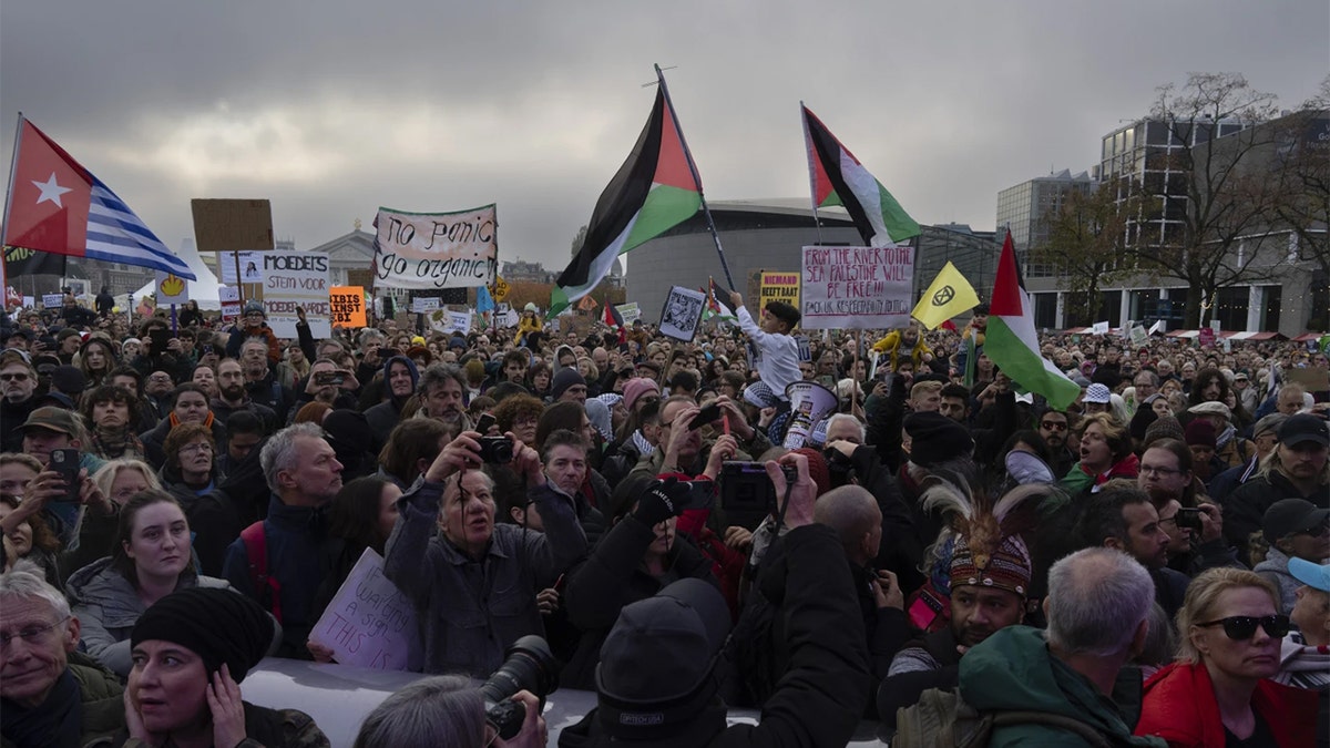 Small group of Palestinian demonstrators