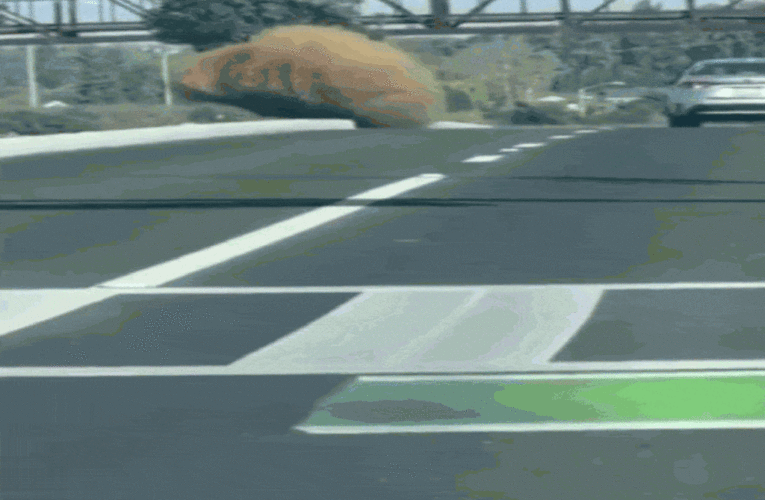 Massive tumbleweed seen rolling down California highway, video