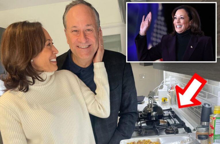 Kamala Harris roasted over Thanksgiving photo with gas stove