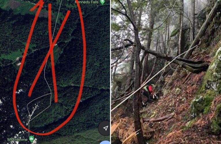 Hiker stranded on a cliff in Canada after following fake trail on Google Maps