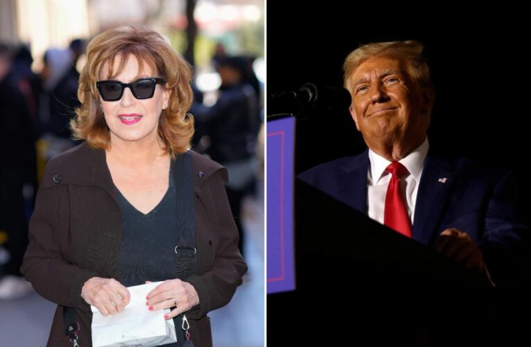 ‘The View’ co-host Joy Behar dares former President Donald Trump to come after her if reelected: ‘Try it’