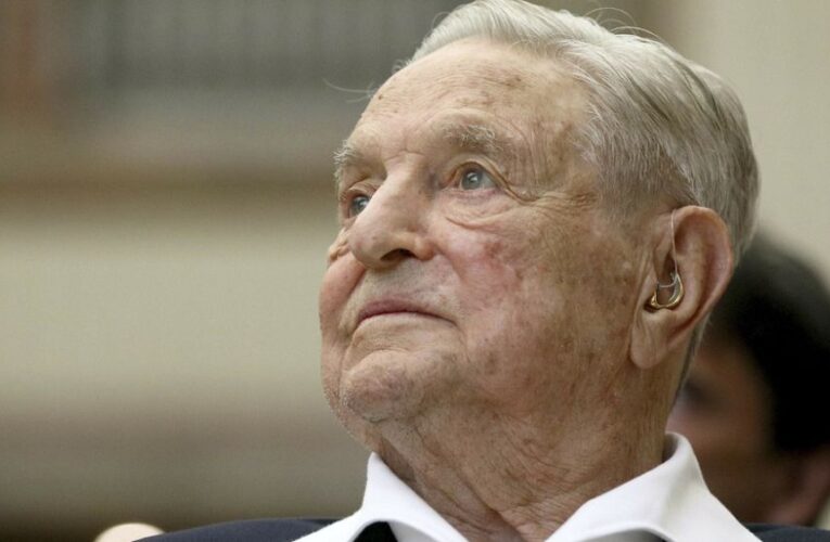 Did the Ukrainian government plan to sell plots of land off to George Soros’s family?