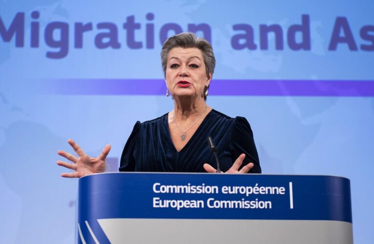 No EU country will be ‘left alone’ to cope with irregular migration, says Ylva Johansson