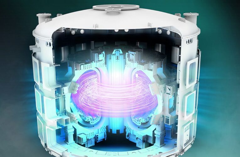 Inside the world’s first reactor that will power Earth using the same nuclear reaction as the Sun