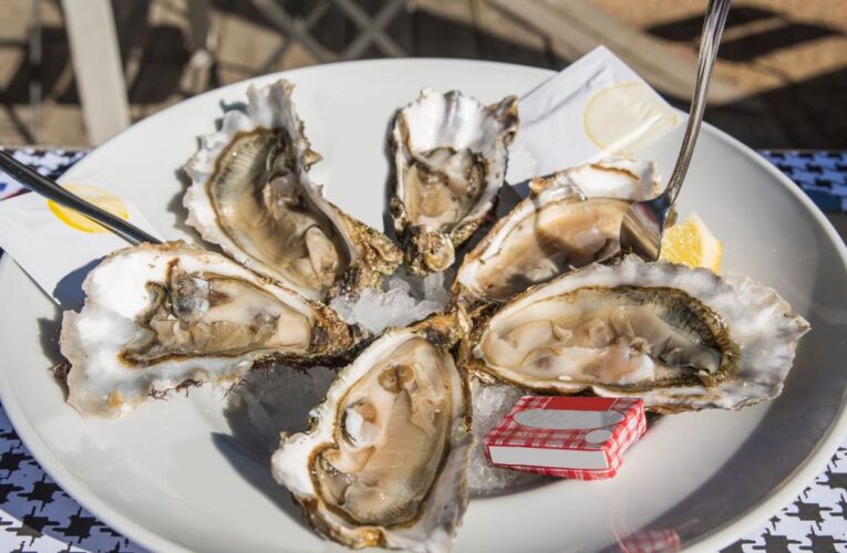 Oysters in France’s Arcachon Bay temporarily banned after norovirus detected