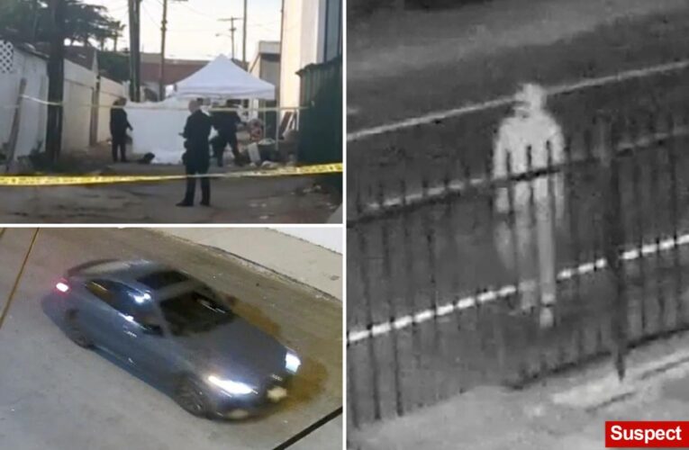 Los Angeles ‘serial killer’ suspected of slaying 3 homeless people