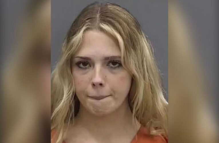 Florida woman Alyssa Ann Zinger posed as teen to molest middle schoolers: police