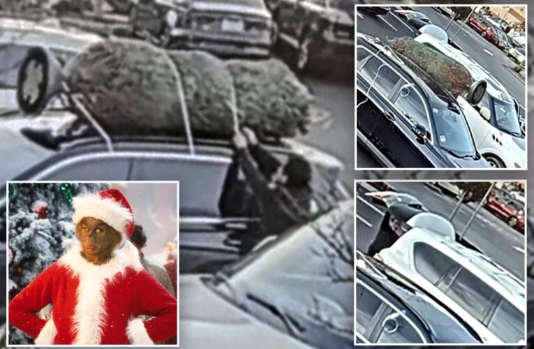 Real-life Grinch steals California family’s Christmas tree that was tied to car