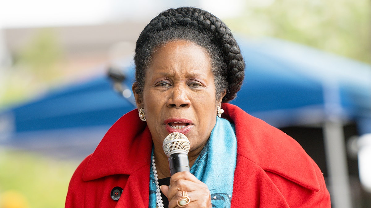 Sheila Jackson Lee