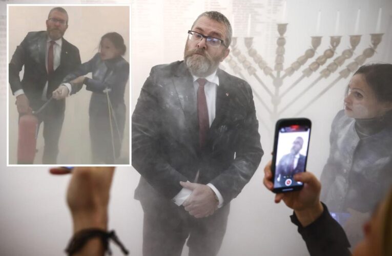 Politician douses Hanukkah candles in Polish parliament